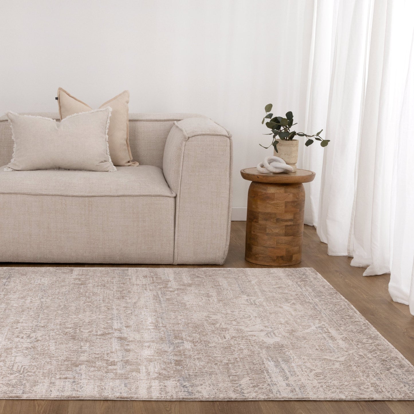 Solenne Beige & Blue Distressed Vintage Rug - S100