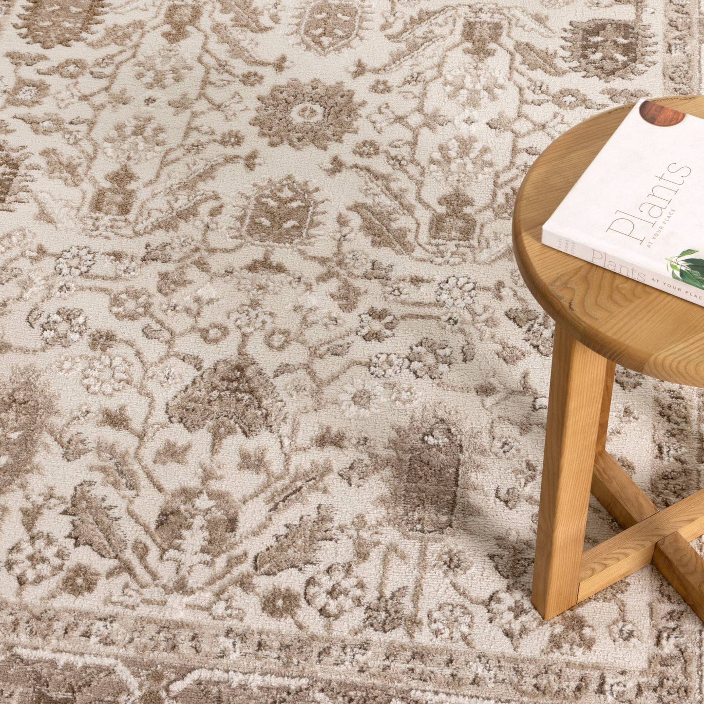 Sierra Oriental Border Brown Rug